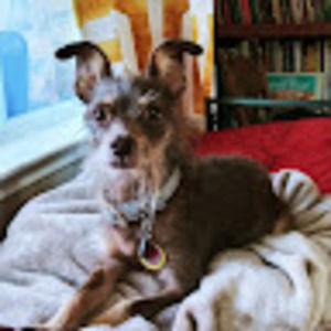 Meet your Posher, Whitney